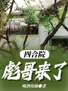 四合院彪哥来了