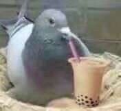 没梦做的人不能上天堂